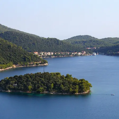 By The Sea Ubli, - 23365 Apartment Lastovo