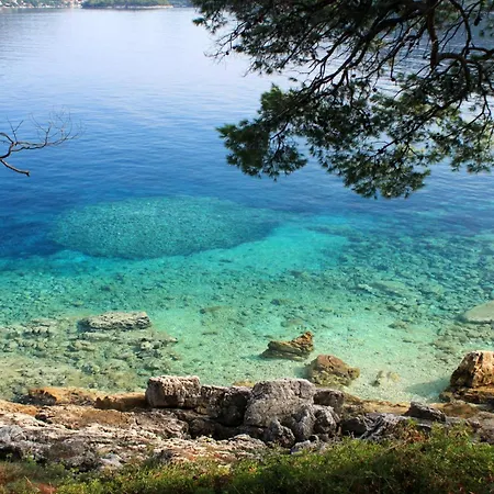By The Sea Ubli, - 23365 Apartment Lastovo